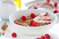 Homemade oat meal granola or muesli with fresh summer fruits Ã¢â¬â raspberry and strawberry with yogurt Royalty Free Stock Photo